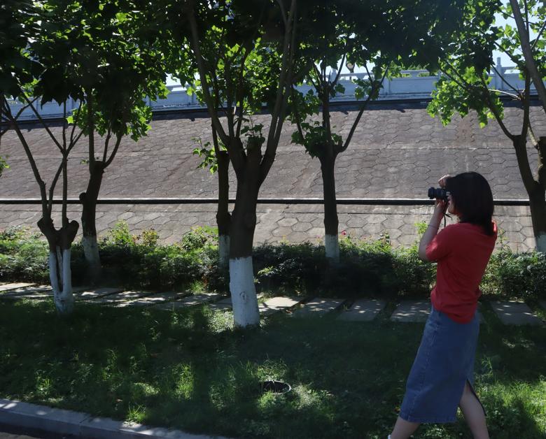 【摄影爱好者协会】  “七节立夏,摄影迎夏”约拍活动