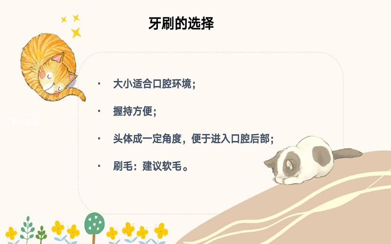 儿童龋病预防