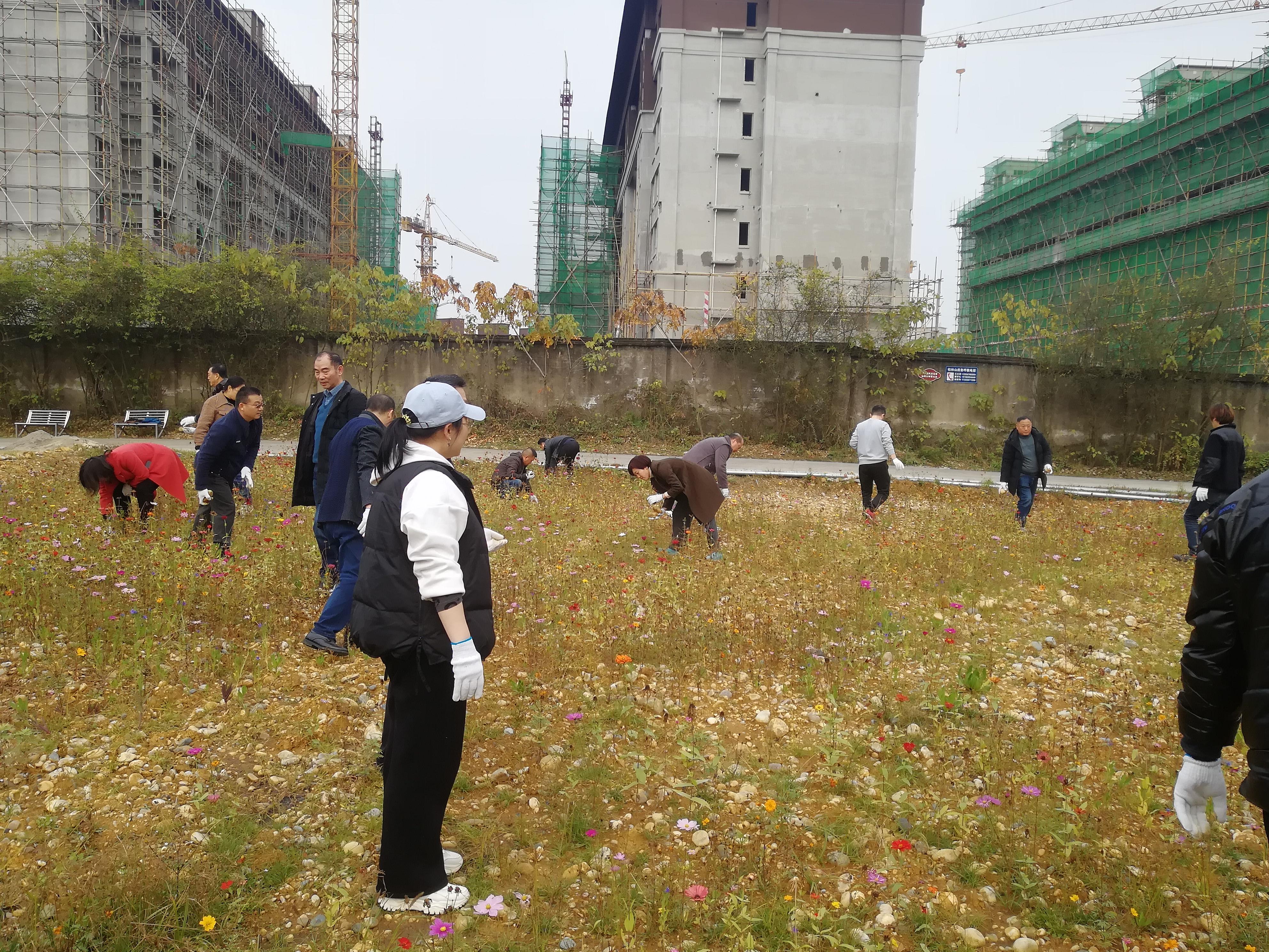 机关三工会开展义务劳动活动