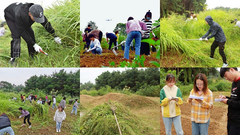 中西医临床医学系组织开展公民道德宣传日义务劳动