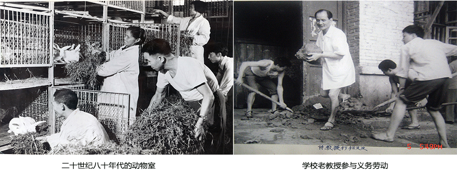 档案：见证、传承与弘扬