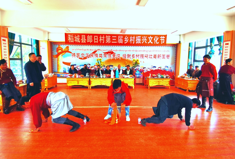 杜勇带队赴稻城县郎日村调研乡村振兴工作