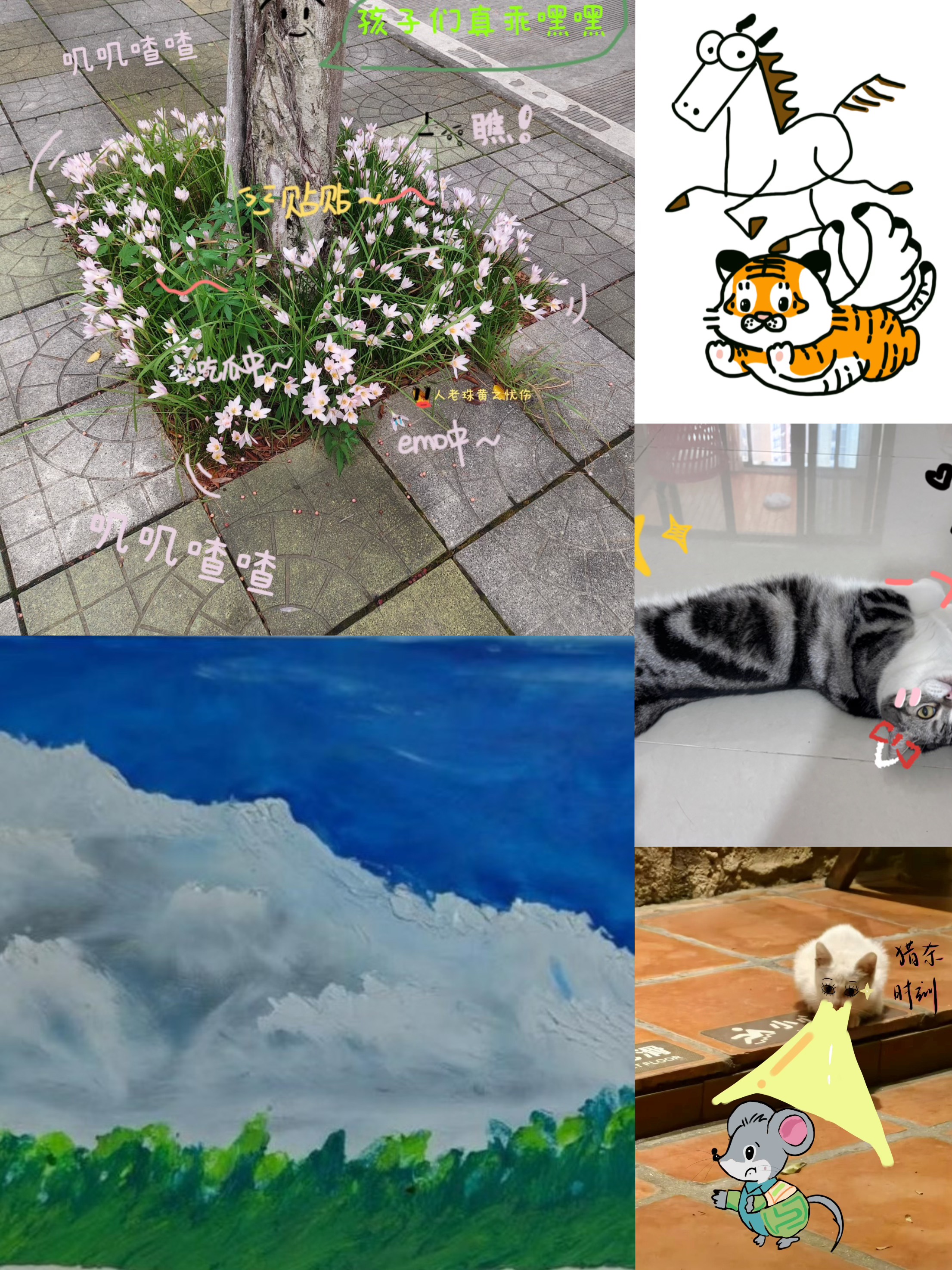 眼视光医学院成功举办“影映心灵，绘梦心弦”心理健康节活动