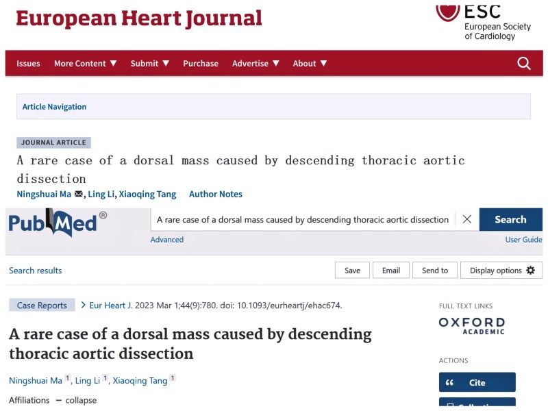 我校教师在国际顶级学术期刊发表高水平论文