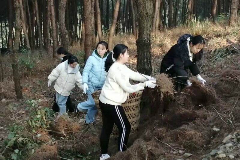 基础医学院党总支、机关三党总支联合开展松林山劳动铸魂育人实践教育活动