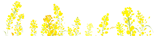 640.png