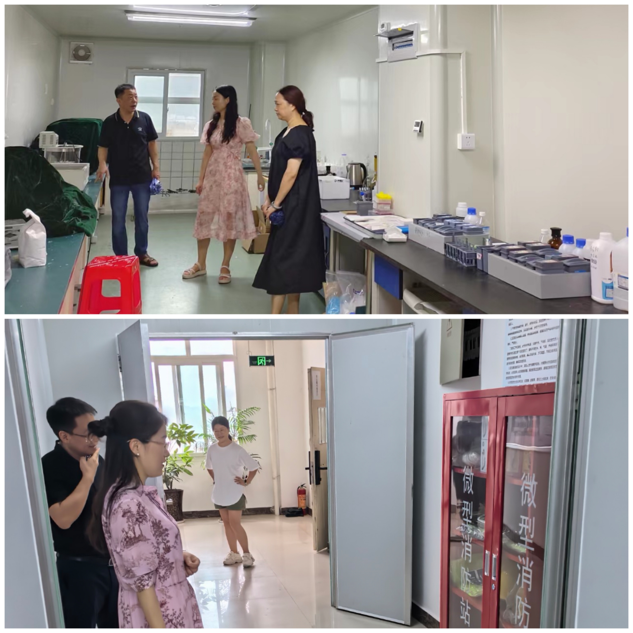 基础医学与法医学院进行安全自查