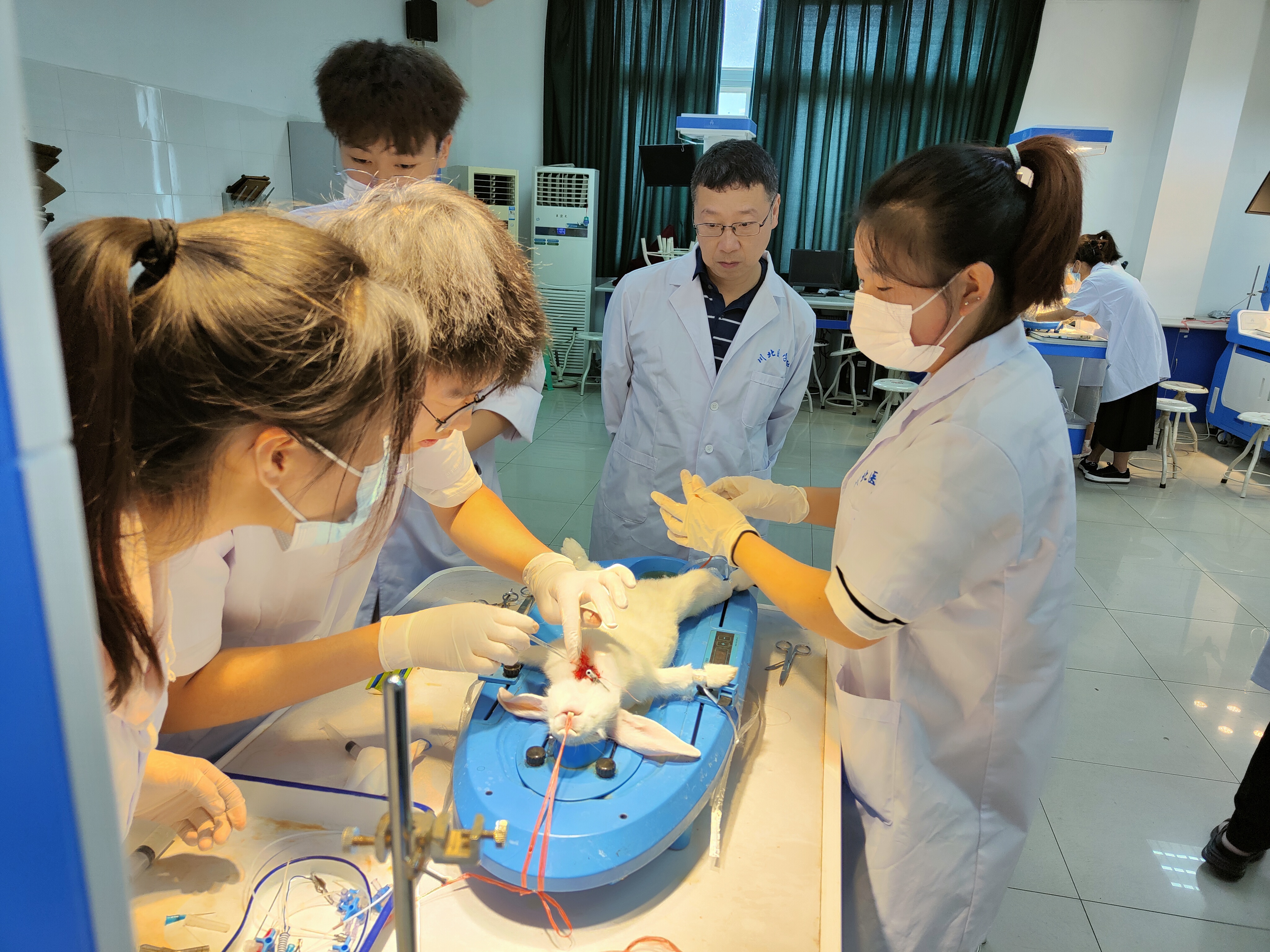 基础医学与法医学院成功举办第十五届机能实验技能大赛