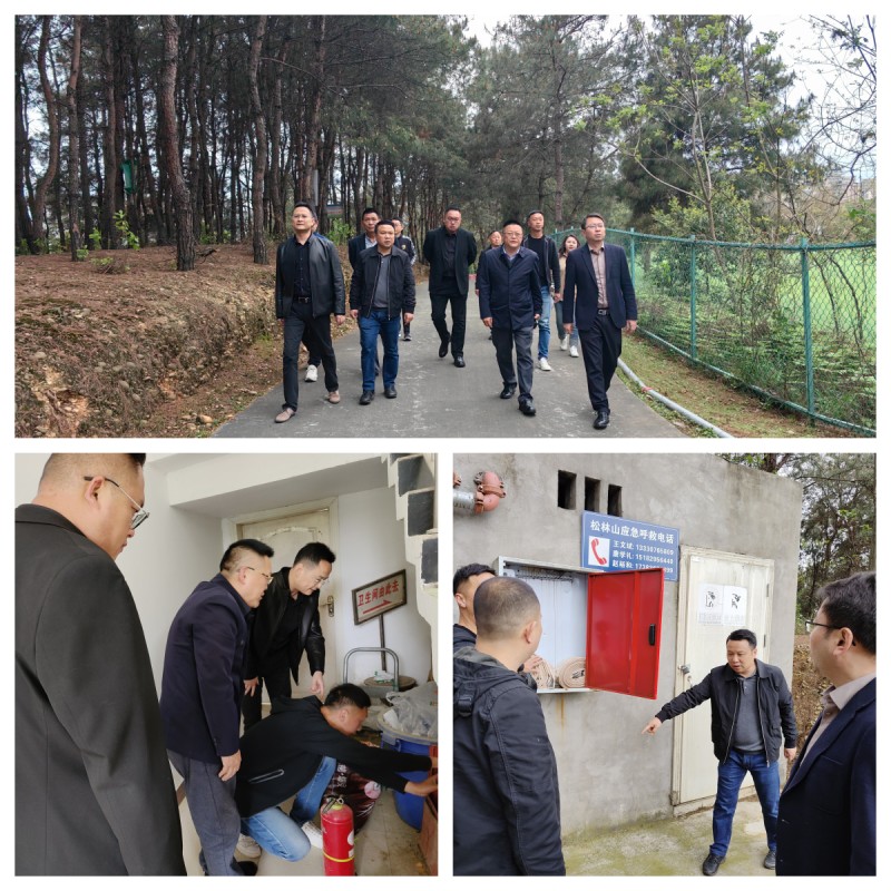 后勤管理处开展森林火灾隐患 排查整治工作