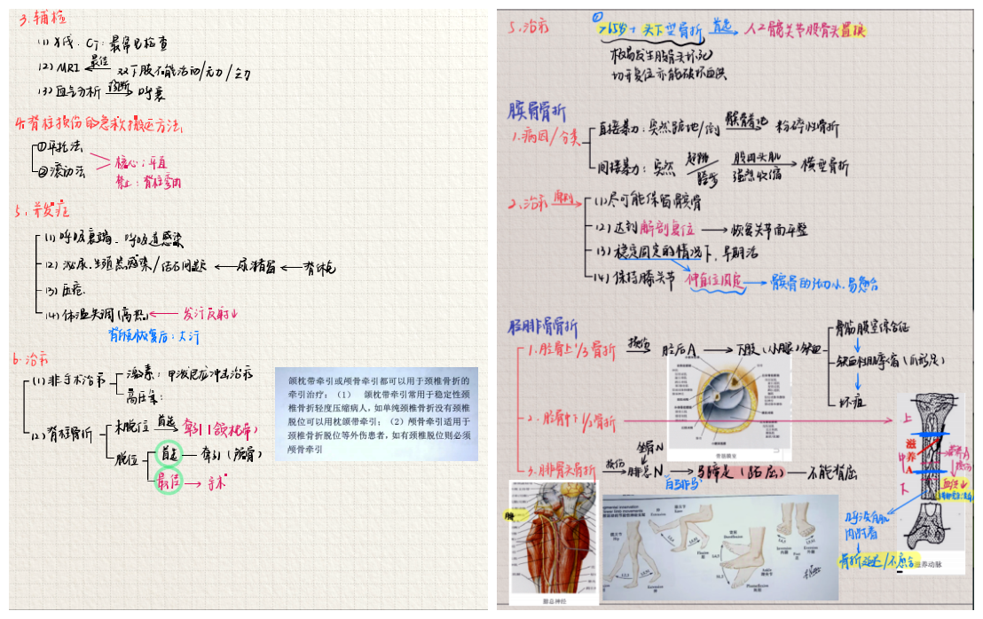 与榜样同行：2022年考研学子之最美笔记（二）