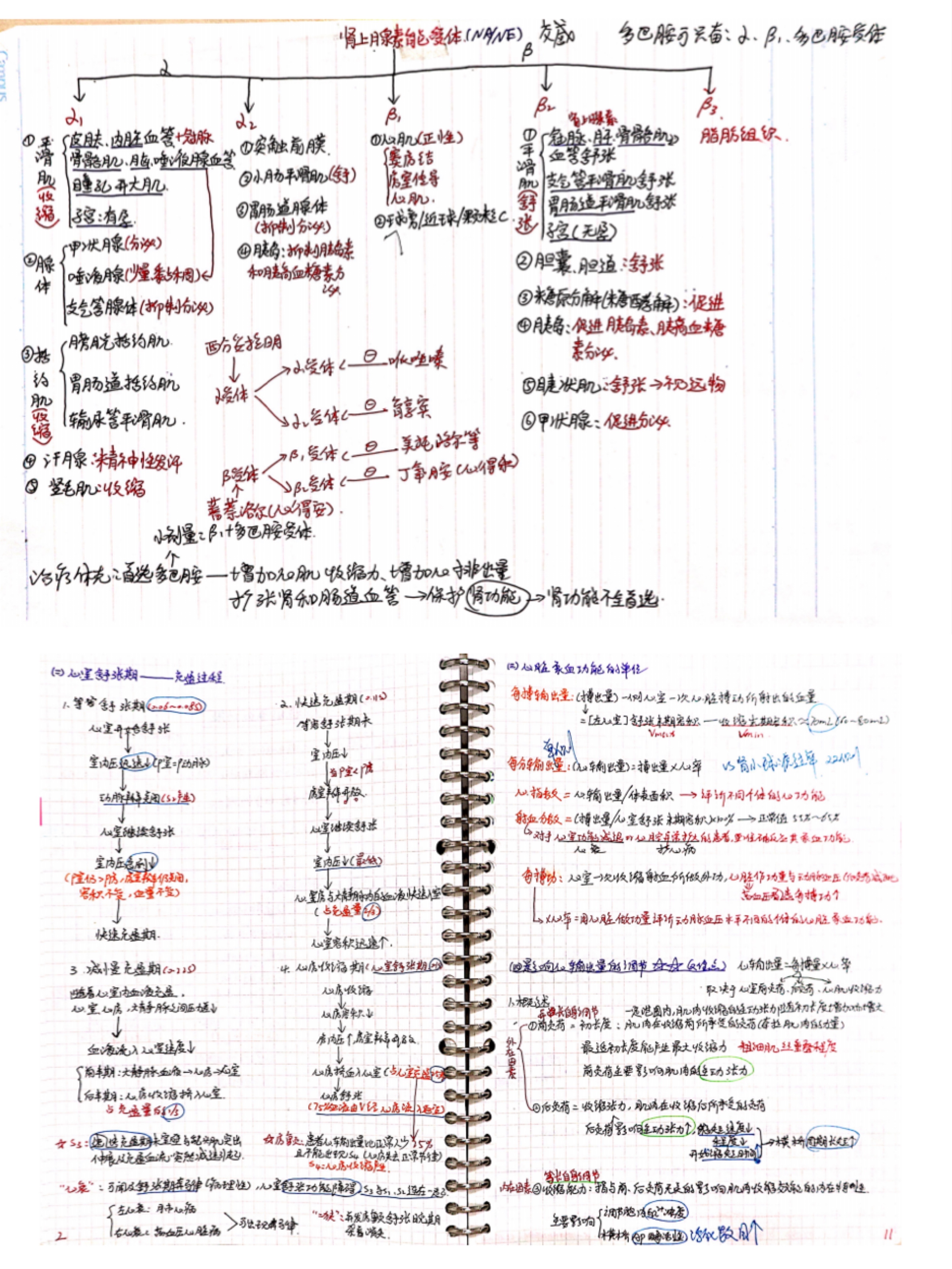 与榜样同行：2022年考研学子之最美笔记（三）
