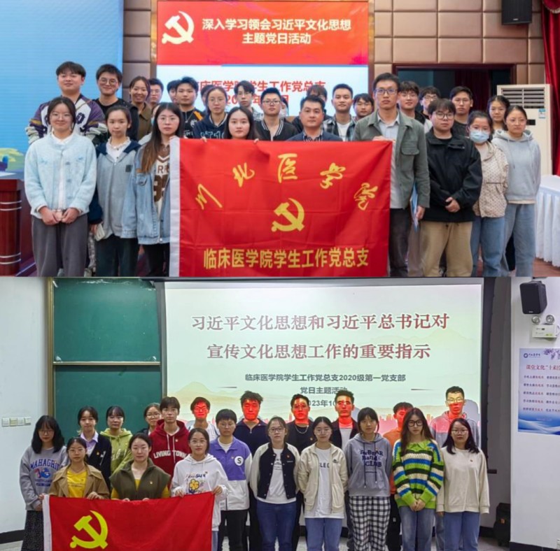 临床医学院学生工作党总支开展深入学习习近平文化思想系列主题党日活动
