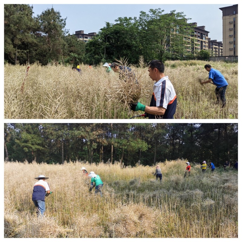 后勤工作不停步 五一劳动最光荣