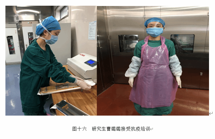众志成城齐奋战,护理学院研究生师生抗疫在行动