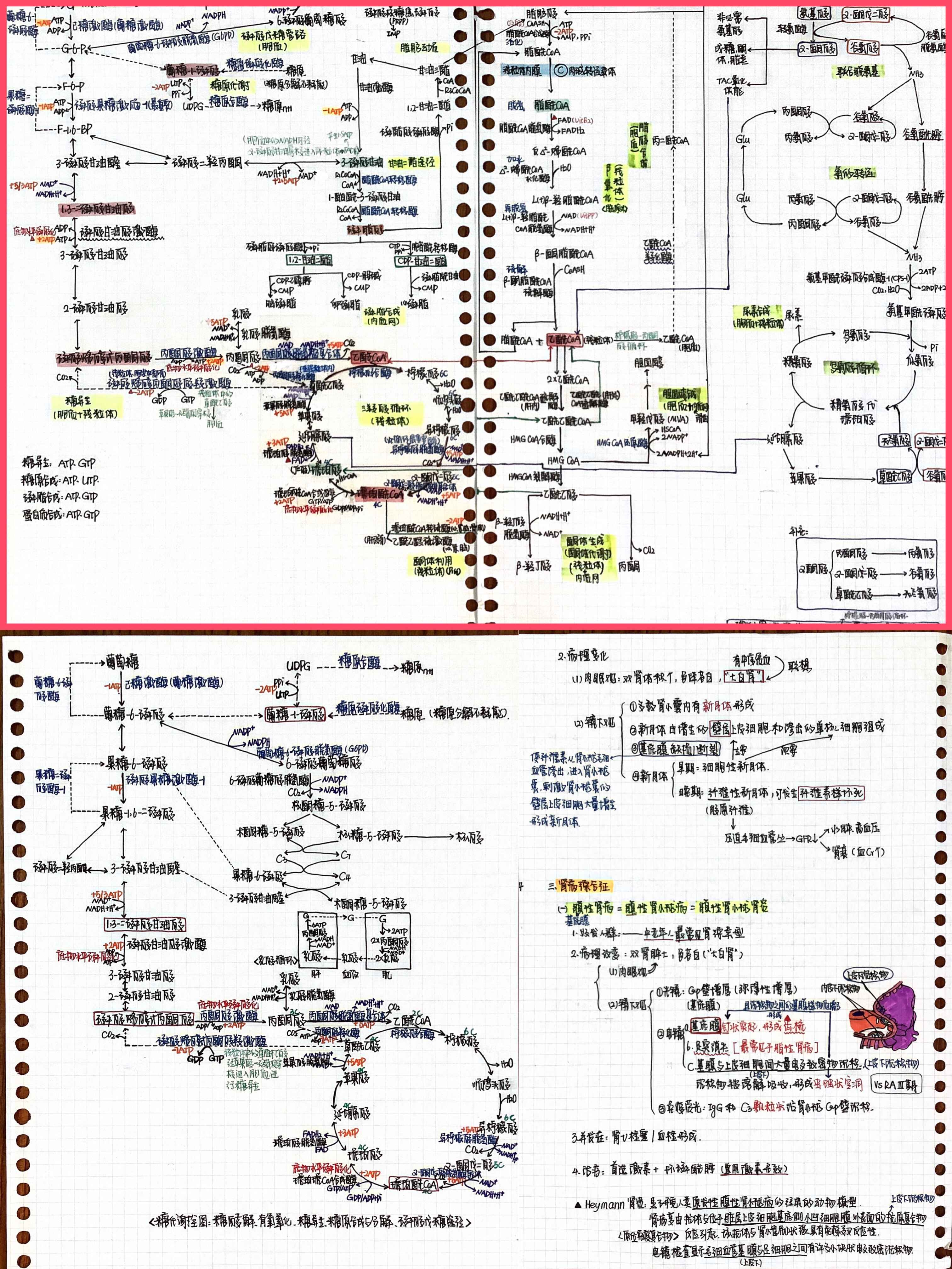 与榜样同行：2022年考研学子之最美笔记（一）