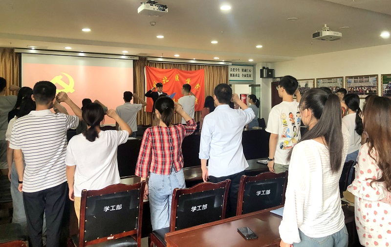 中西医临床医学系开展“讲述战疫故事,迎接党的生日”组织生活会