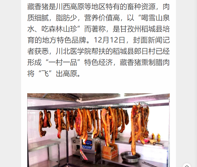 一村一品，稻城郎日村藏香猪“飞”出高原