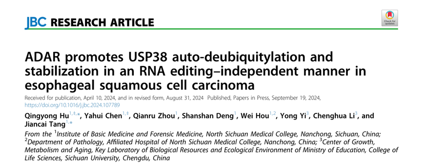 基法学院肿瘤耐药与生物标志物科研创新团队在《Journal of Biological Chemistry》发表高水平学术论文