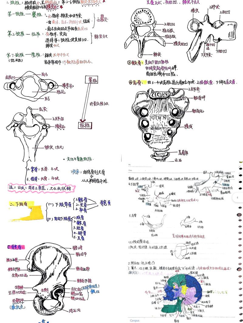 护理学院开展最美笔记大赛
