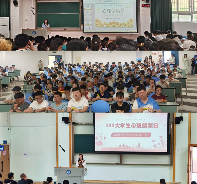 临床医学院学生工作党总支开展“5.25心理健康日”专题教育活动