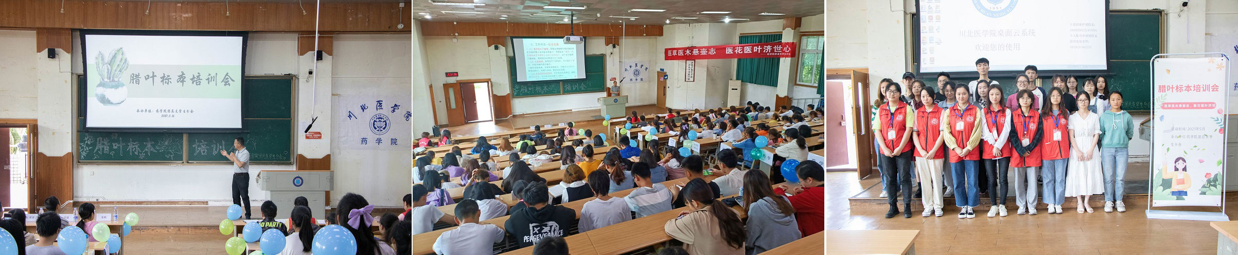 药学院腊叶标本制作培训讲座圆满结束