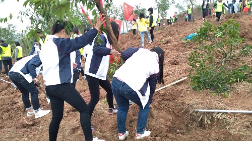 法医学系举行学雷锋志愿植树活动