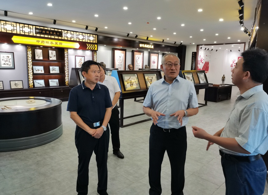 杜勇带队调研大巴山道地药材开发 助力川东北革命老区乡村振兴