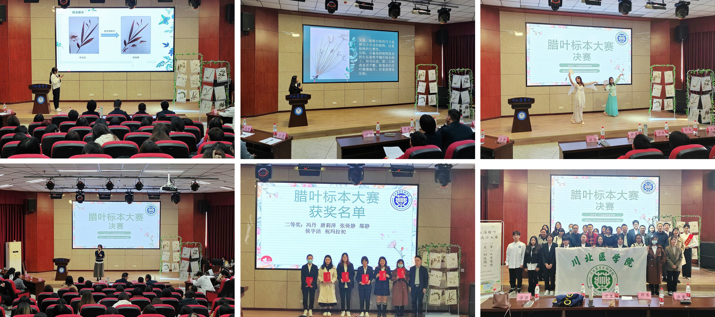 药学院第七届腊叶标本大赛决赛成功举办