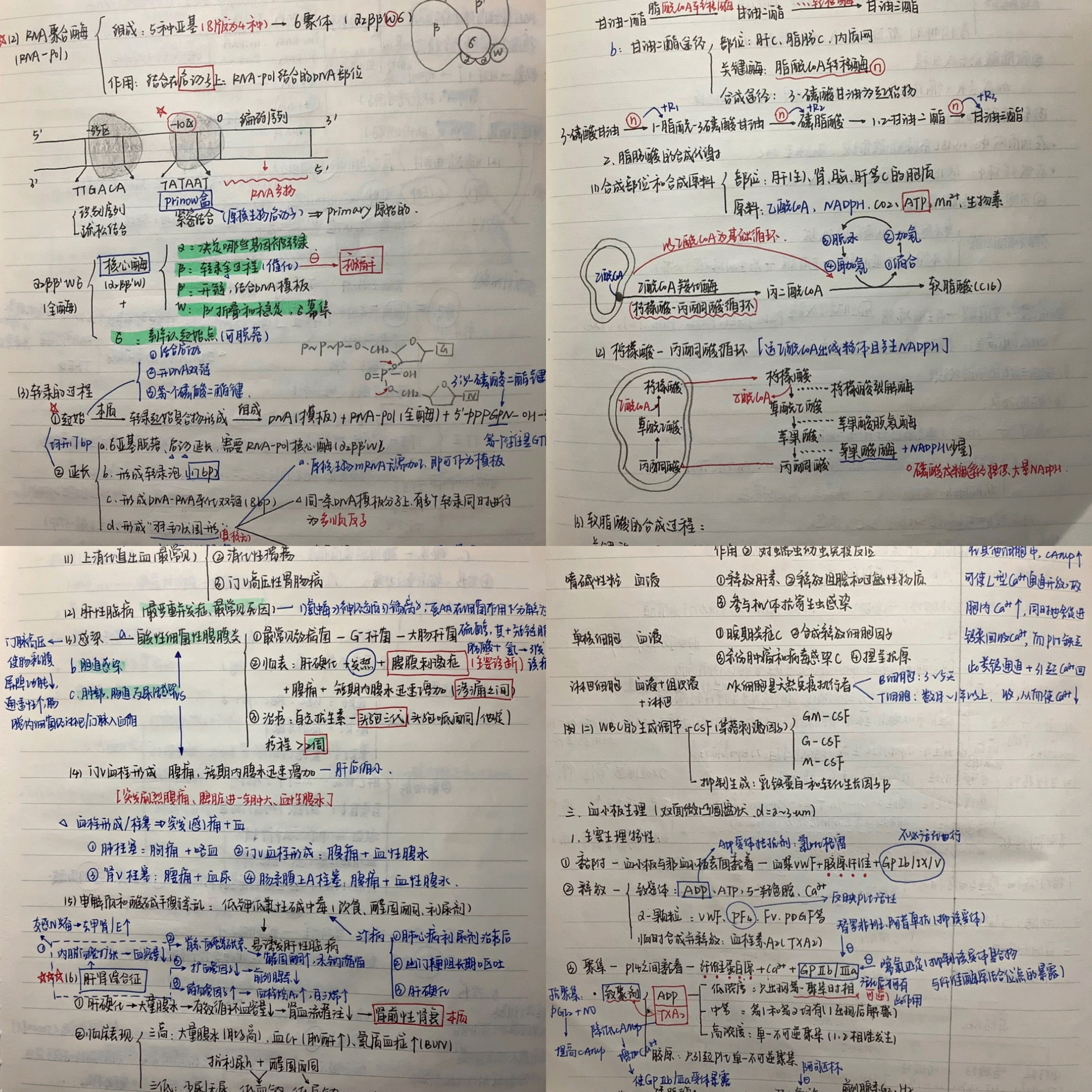 与榜样同行:2022年考研学子之最美笔记(三)