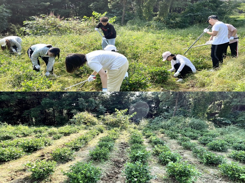 中西医临床医学系开展土地开垦劳动实践活动