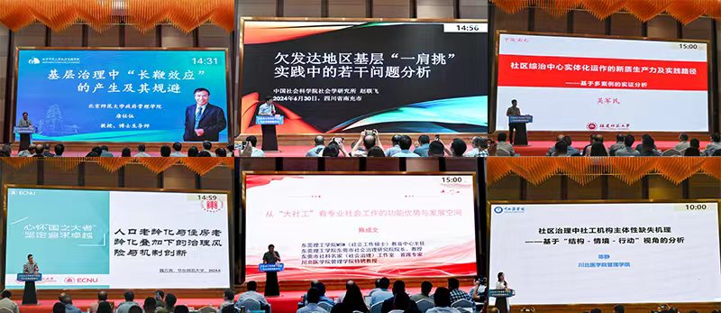 “大社会工作背景下基层社会治理创新研究”学术研讨会在南充举办