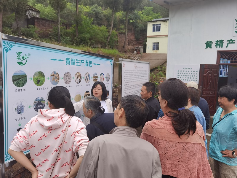 九三学社学院基层委员会开展“凝心铸魂强根基、团结奋进新征程”主题调研活动