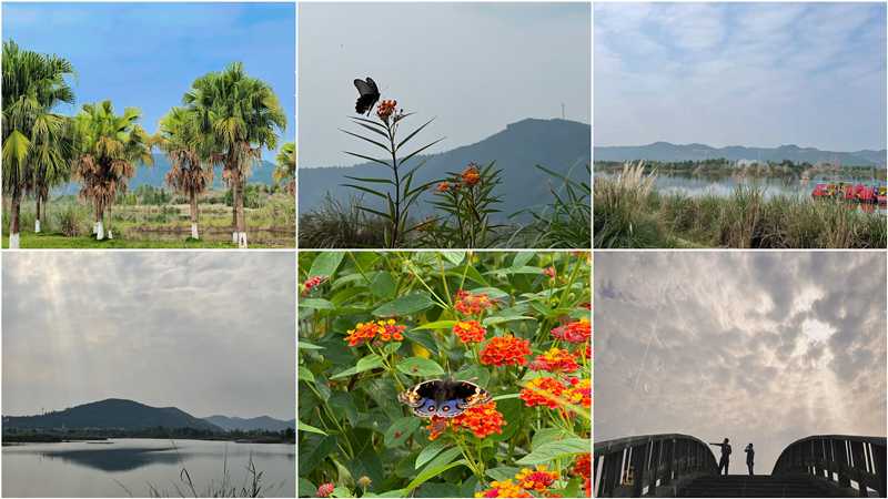 支部结对聚合力，育人共建同发展