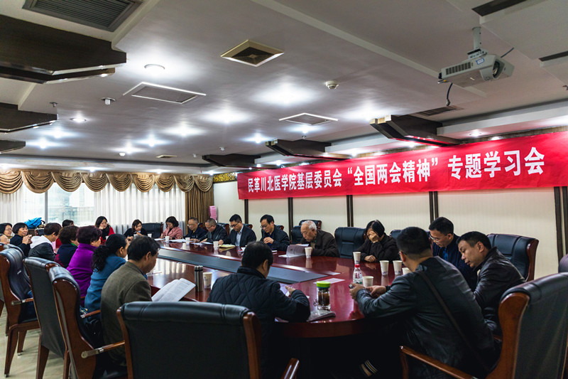 民革学院基层委员会开展全国“两会”精神学习活动