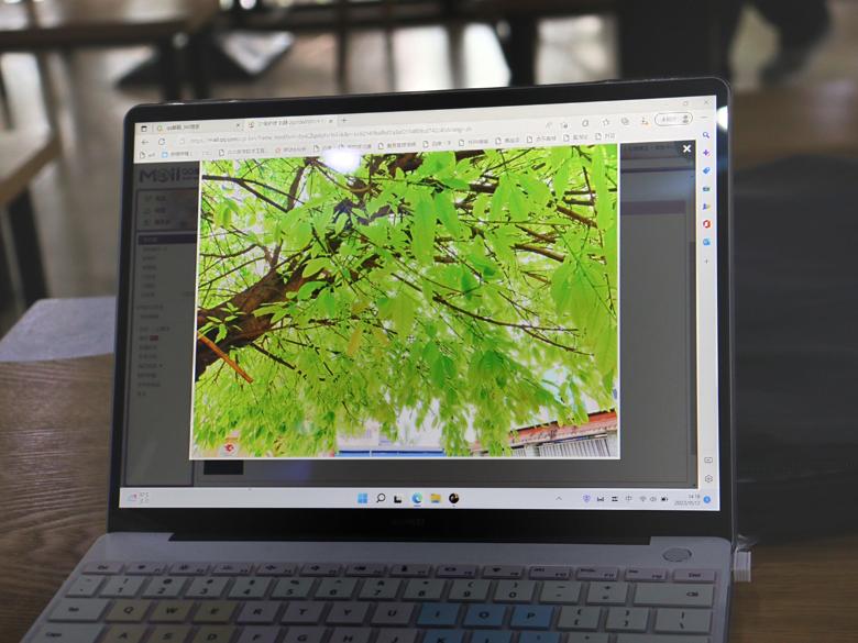 社团风采汇川北,“社”彩纷呈谱新章