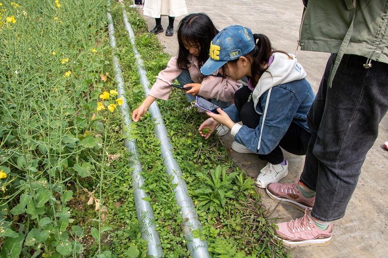 药学院松林山踏青活动顺利开展